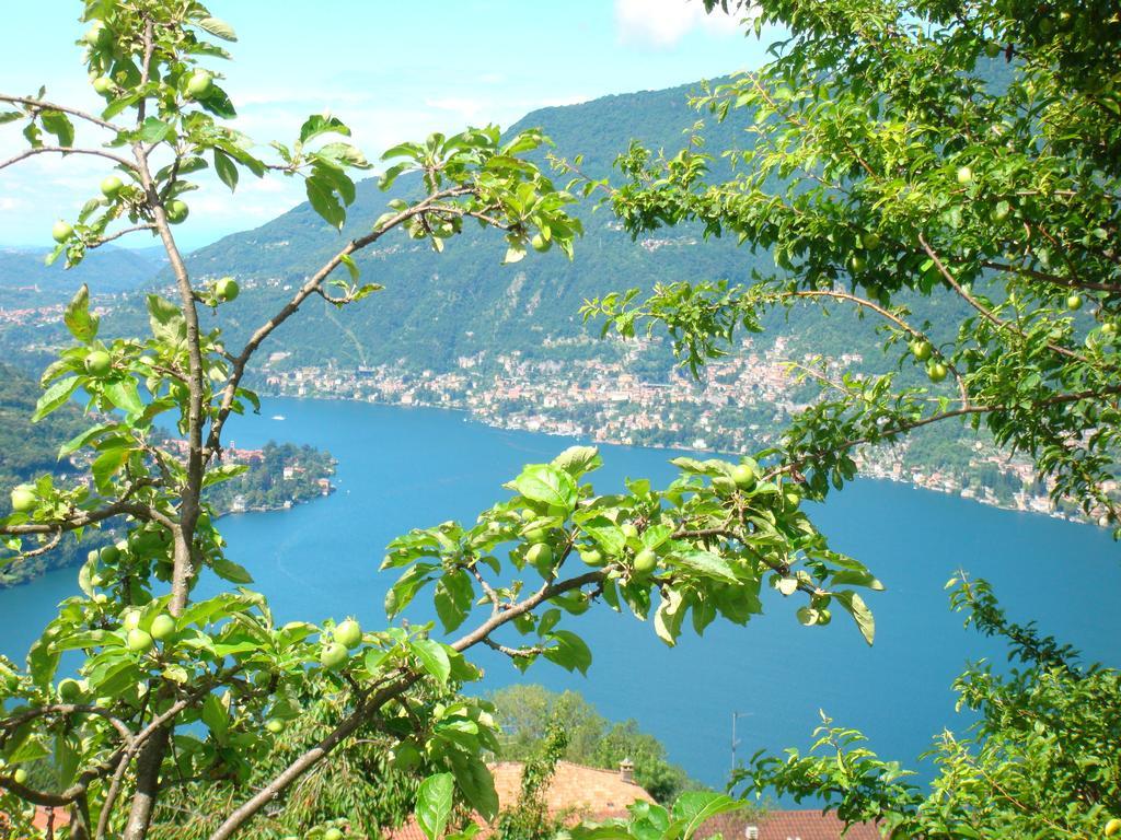 Casa Filomena Bed and Breakfast Faggeto Lario Zewnętrze zdjęcie